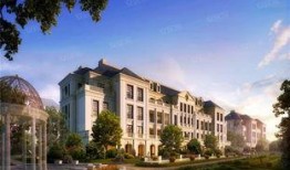 郑州蓝城最新爆料,揭秘神秘项目背后的惊人真相