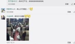 杨艳军最新爆料微博,揭秘娱乐圈惊人内幕！